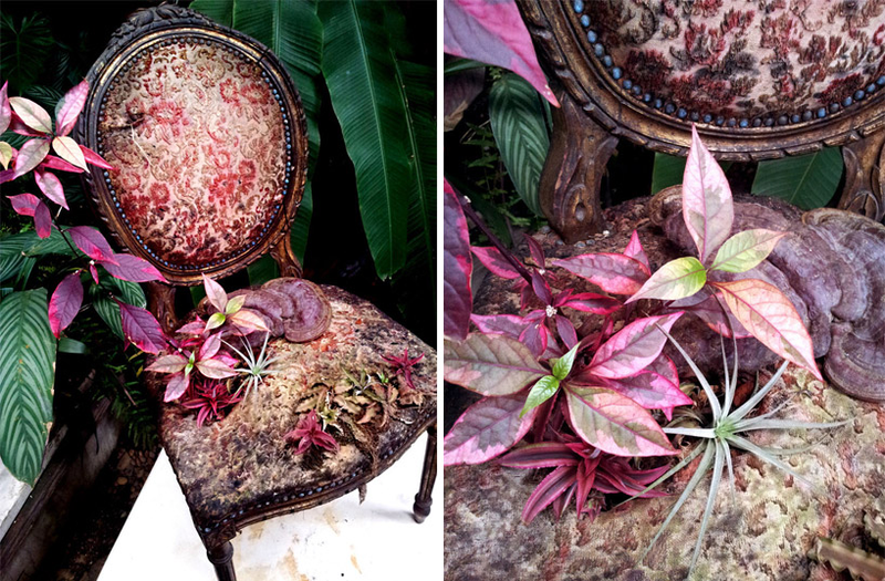 Illustration for article titled These Gorgeous Planters Made From Reclaimed Furniture Are Truly Gothic